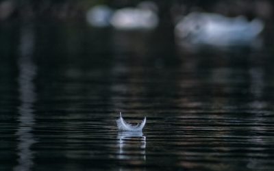 Filmajánló – Némaság / Silence