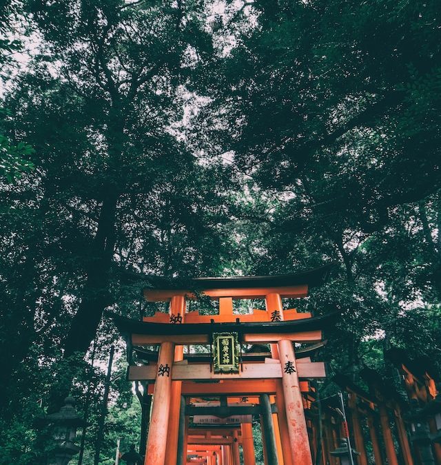A japán torii kapu