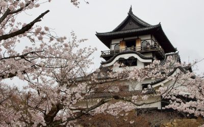 Szamuráj kastélyok: Inuyama vára
