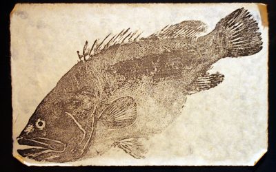 Gyotaku, a hagyományos japán hal nyomatok