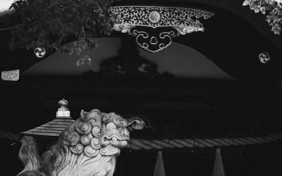 Komainu: Japán oroszlán‑kutyái és eredetük